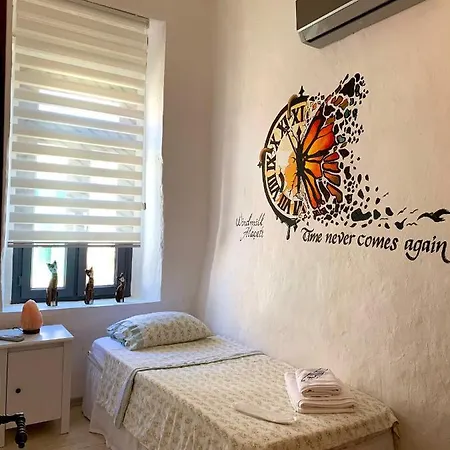 Gæstehus Windmill Koyici *